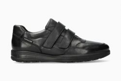 IANIS - 199€