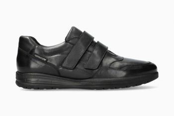 IANIS - 199€