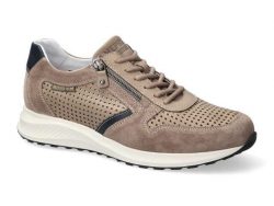 DINO - 205€