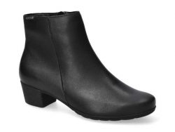 IOLA - 185€