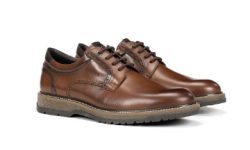 F2319 - 135€