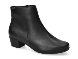 IOLA - 185€